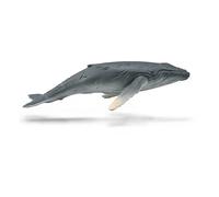 Collecta – Baleineau de la baleine à bosse