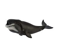 Collecta Baleine boréale
