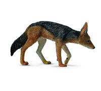 Collecta Black-Backed Jackal Animal Toy