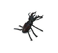 Collecta Cerf volant Noir 3-6 ans Noir 3-6 ans