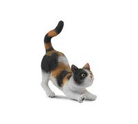 Collecta Chat domestique S'étire Marron Marron One Size