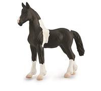 Collecta Chevaux (1:20 M): Poulain BAROCK Pinto 11x10.8cm