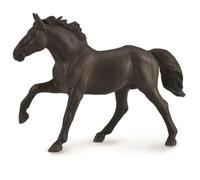 Collecta Chevaux (1:20 XL): : ÉTALON Nonius 17.5x11.5cm