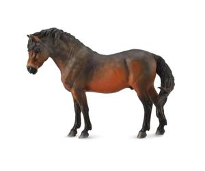 Collecta Chevaux (L): Dartmoor Pony BAI 10,5x4x8cm