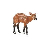 Collecta - Chiot Bongo - M - 88823 (90188823)