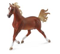 Collecta Chœur D´étalons Arabes