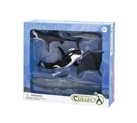 CollectA - Coffret cadeau de figurines d'animaux de la vie marine à collectionne