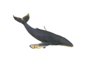 Collecta - Col88347 - Baleine À Bosse - Taille XL