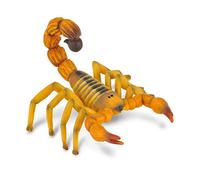 Collecta - Col88349 - Androctonus - Scorpions - Taille M