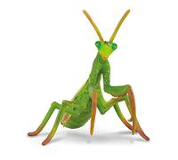 Collecta-COL88351 Deqube Animaux Jouet Insecte, COL88351, Vert