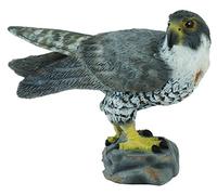 Collecta Animaux sauvages (S) – Faucon pèlerin – 6,5 × 3 × 4,5 cm