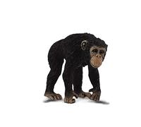 Collecta - Col88492 - Chimpanzé Mâle - Taille M