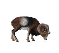 Collecta - Col88682 - Mouflon Européen - Taille L