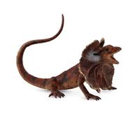 Collecta - Col88690 - Lézard À Collerette - Taille L