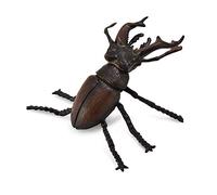 Collecta - Col88703 - Scarabée À Cornes - Taille M