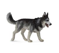 Collecta - Col88707 - Husky De Sibérie - Taille L