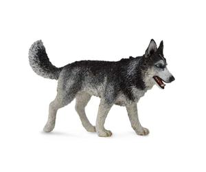 Collecta - Col88707 - Husky De Sibérie - Taille L