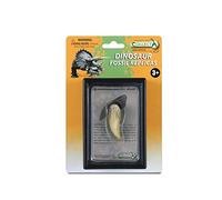 prehistorieDent en T-Rex 11,5 cm brun clair