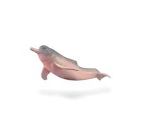 Collecta Deqube 90188994 Dauphin du fleuve Amazone Figurine à Collectionner Taille M
