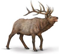 Collecta Eland - (XL)