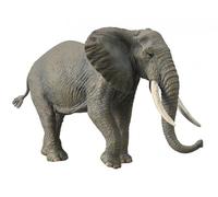 COLLECTA Eléphant d'Afrique - (XL)