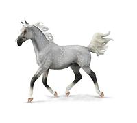 CollectA Étalon demi-arabe gris tacheté - Deluxe échelle 1:12