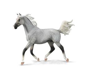 CollectA Étalon demi-arabe gris tacheté - Deluxe échelle 1:12