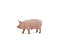 Collecta - Femelle Truie (88863) COLECTA