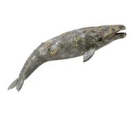 Collecta Figurine Baleine grise 88836 XL 22 cm