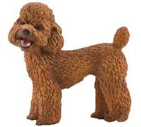 Collecta Figurine Caniche Moyen