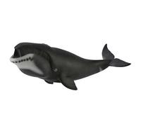 Collecta Baleine boréale