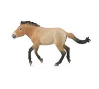 Collecta Figurine De Cheval Przewalski