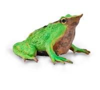 Collecta Figurine De Grenouille De Darwin M