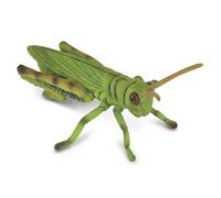Collecta – Figurine insecte Sauterelle Col88352 – Vert et noir – Taille M