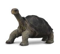 Collecta - Figurine 3388619 - Tortue géante des Galápagos (Animaux sauvages)