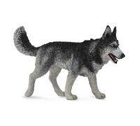 Collecta Figurine Husky Sibérien