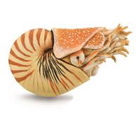 Collecta Figurine Nautilus Pompilius Xl