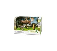 Collecta Figurine Wild Life Forest 3 Pièces En Boîte Ouverte