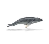 Collecta Humpback Whale Calf
