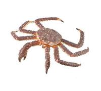 Collecta jouet crabe rouge 12 x 4 cm