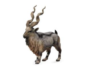 Collecta - Marjor -L- 88641 (90188641)
