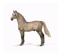 Collecta Morgan Horse - Figurine de cheval en plastique, miniature de cheval, jeu imaginatif, Collection, 15 x 13 cm, à partir de 3 ans