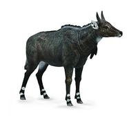 Collecta Nilgai Animal Toy