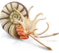 COLLECTA Pleuroceras Ammonite - (XL)