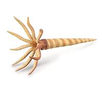 Collecta Préhistoire (L): ORTHOCÈRE 8.1x15.2cm
