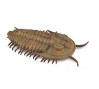 Bigjigs Toys – Collecta Préhistoire REDLICHIA Rex Trilobite 9,5 x 2,4 cm