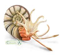Collecta Préhistoire (XL): Ammonite PLEUROCERAS 11.9x7.1cm