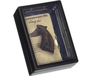 Collecta prehistoriePointe de T-Rex 11,5 cm brun foncé Marron foncé G