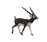 CollectA Réplique d'animal réaliste, figurine d'antilope Blackbuck, grande taill