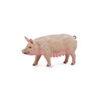 CollectA Réplique d'animal réaliste, figurine de cochon, taille moyenne, à parti